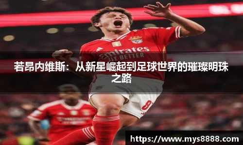 若昂内维斯：从新星崛起到足球世界的璀璨明珠之路
